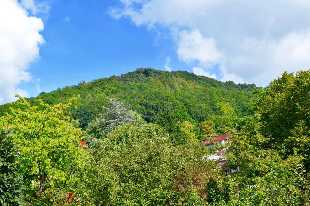 Ferienwohnung Am Geisberg Geisfeld  Εξωτερικό φωτογραφία